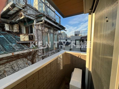 【展望】 | フラット・プラム