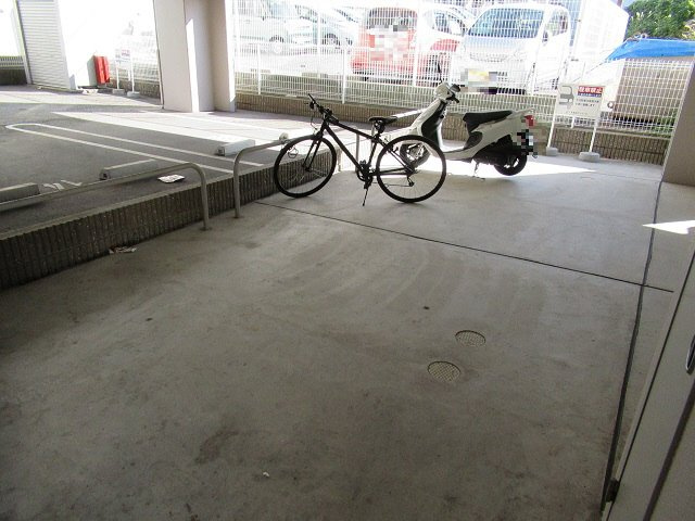 タカラ　ピュアの展望