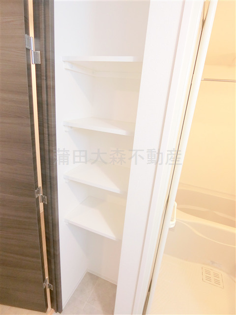 ザ・プレイス中馬込の洗面所