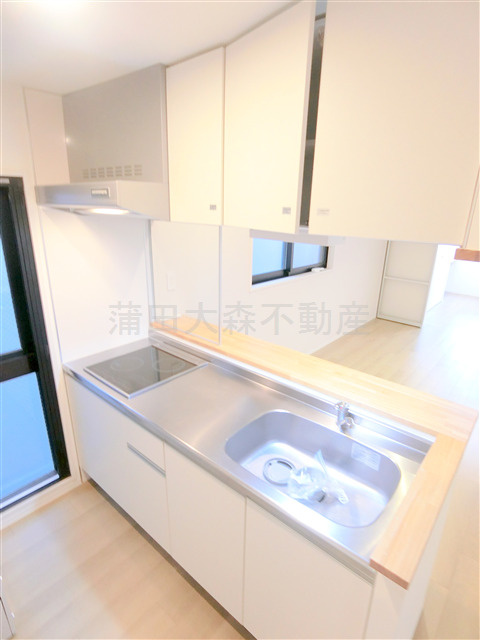 ザ・プレイス中馬込のキッチン|カウンターキッチン　システムキッチン2口