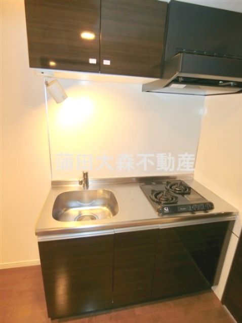 HY's diletto(ハイズディレットのキッチン|2口ガスシステムキッチン