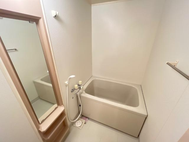 スカイヒルズ新道出の浴室|バス