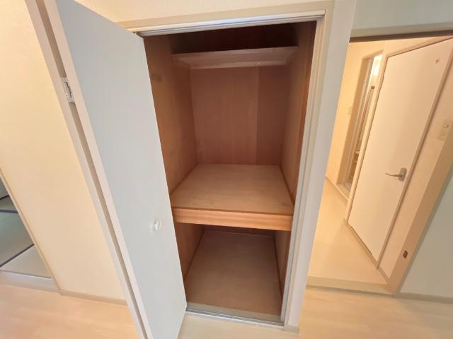 スカイヒルズ新道出の収納|収納