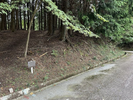 【外観】 | 東急天城高原別荘地　売地