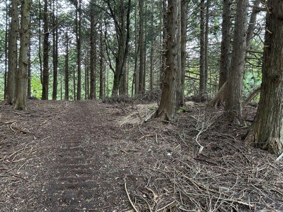 【外観】 | 東急天城高原別荘地　売地