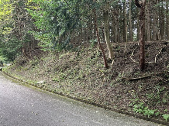 【前面道路含む現地写真】 | 東急天城高原別荘地　売地