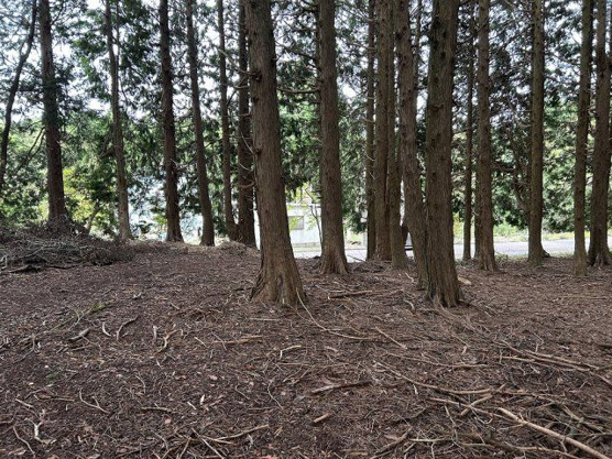 【外観】 | 東急天城高原別荘地　売地