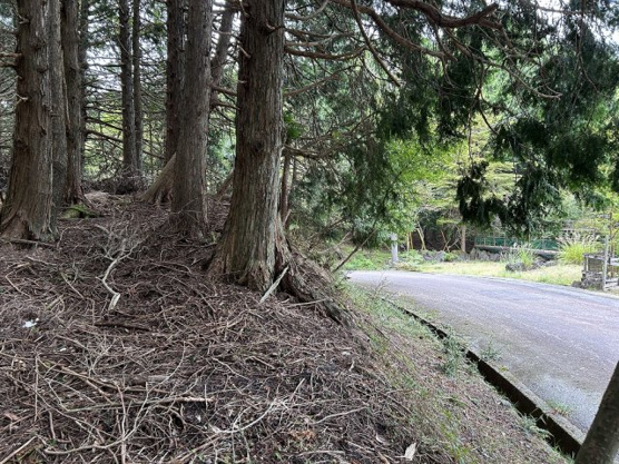 【前面道路含む現地写真】 | 東急天城高原別荘地　売地
