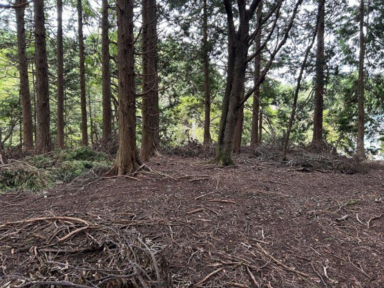 【外観】 | 東急天城高原別荘地　売地