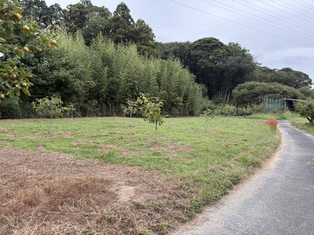 石巻本町辻川売地2の展望