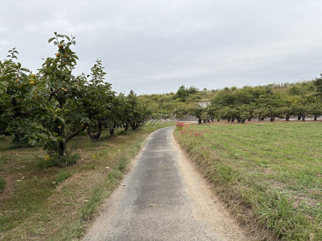 石巻本町辻川売地2の前面道路含む現地写真