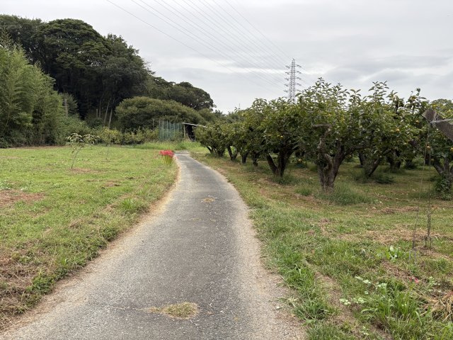 石巻本町辻川売地2の前面道路含む現地写真