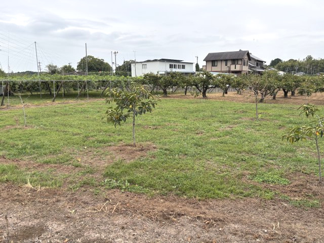 石巻本町辻川売地1（農地白地）の展望
