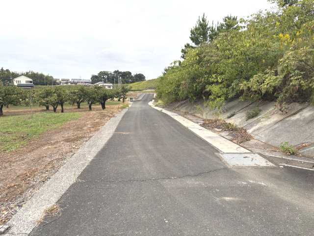 石巻本町辻川売地1（農地白地）の前面道路含む現地写真