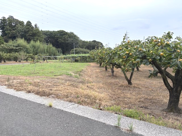 石巻本町辻川売地1（農地白地）の展望