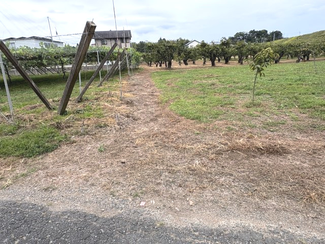 石巻本町辻川売地1（農地白地）のその他