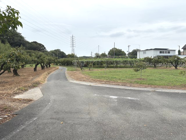 石巻本町辻川売地1（農地白地）の前面道路含む現地写真