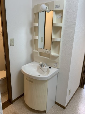 メイプル清水の洗面所