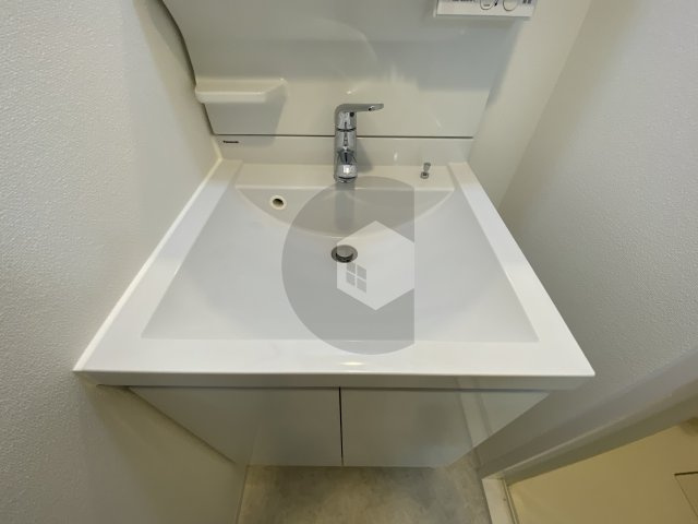 グランカーサ高井田の洗面所