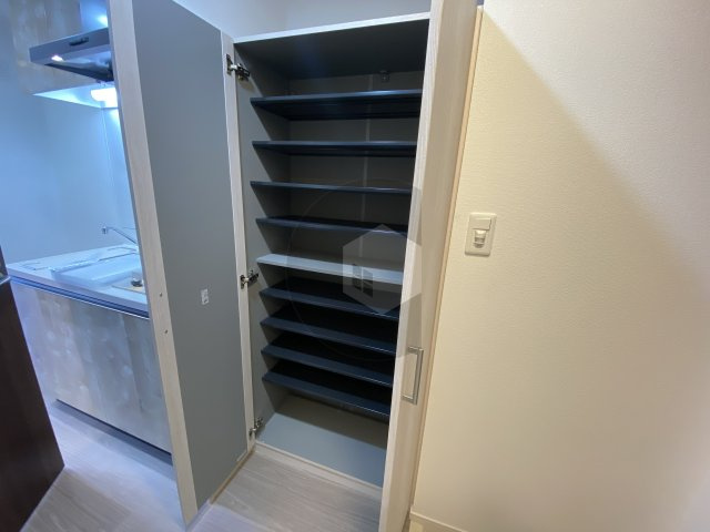 グランカーサ高井田の収納