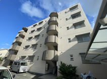 ミネルヴァ日佐の画像