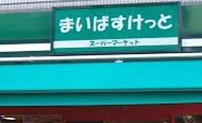 PASEO高田馬場Ⅳ の周辺