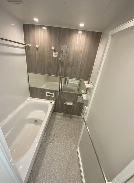 ＷＥＬＬＮＥＳＴ ＲＯＯＭ吹上の浴室