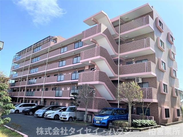 エクセラン東松戸