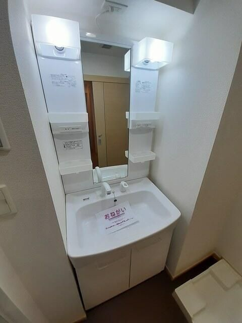 カーサ　ボニータの洗面所