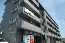 【外観】 | メゾンＹＯＵ＆Ｉ | 落ち着いた雰囲気の外観です