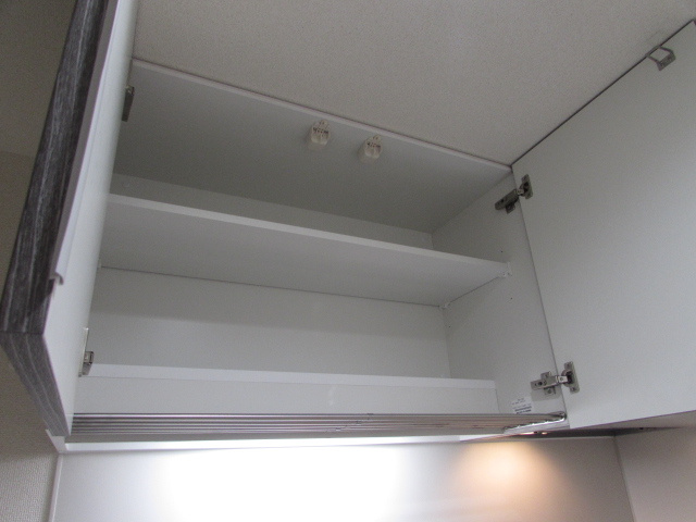 フジパレス伊孑志のその他