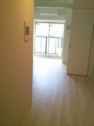 大阪市中央区松屋町住吉の賃貸マンションの内装