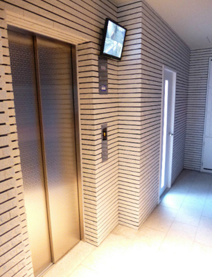 【その他共用部分】 | チェスナット西大島