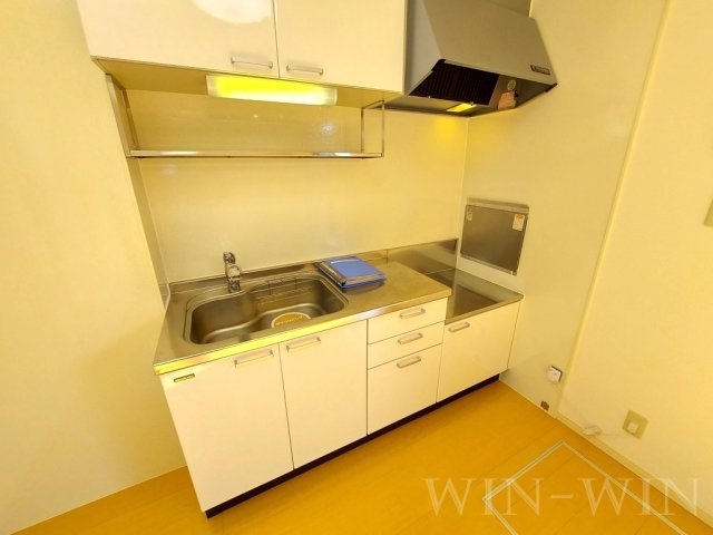 バイオ21 15-17のキッチン