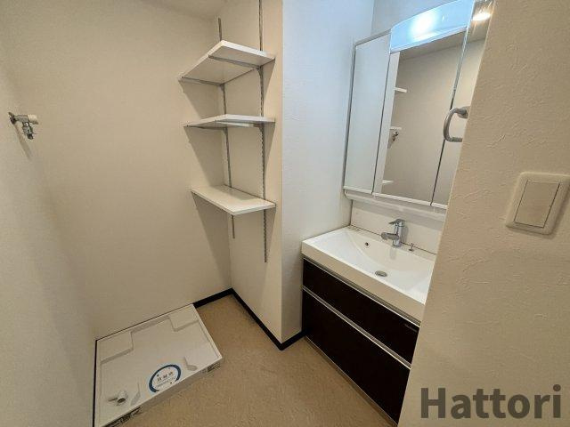 ディームス福島の洗面所