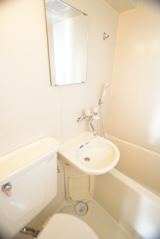 セザールミキの洗面所