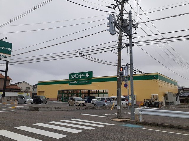 ベイリーフハウスの周辺|リオン・ドール寺尾東店まで496m