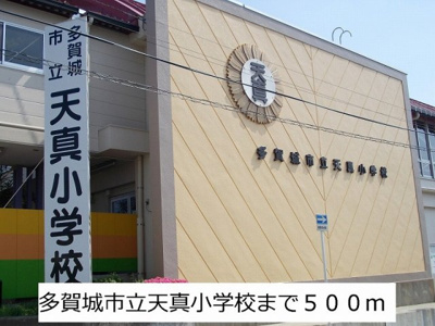 【周辺】 | クレストールツクダ | 天真小学校まで500m