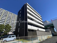 ビアンコネロの画像