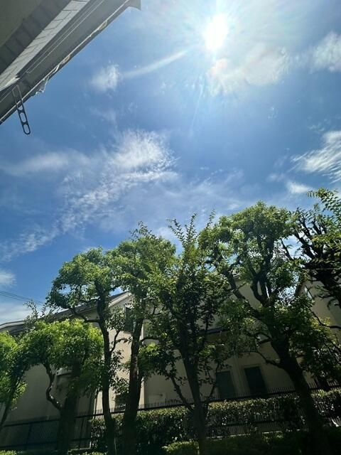 リュゼ経堂の展望