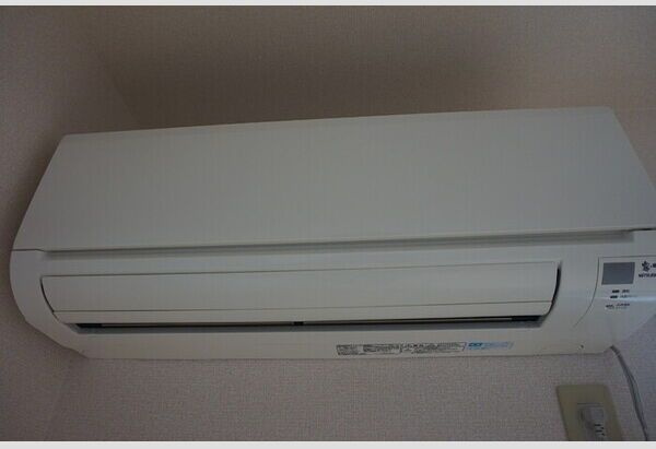 リオグランデ　Bのその他