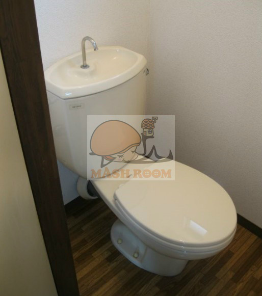 コーポタチのトイレ