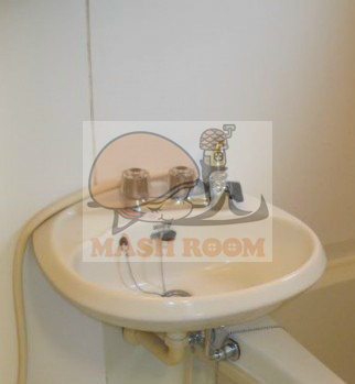 コーポタチの洗面所