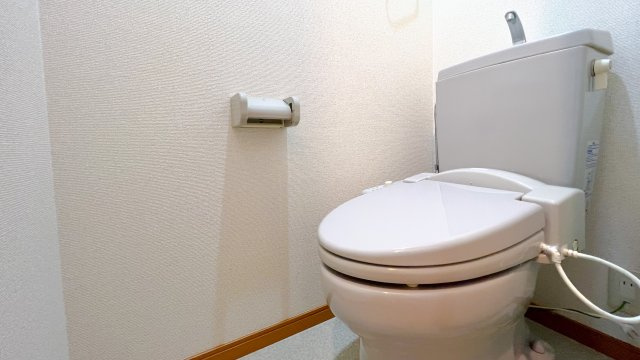 芙蓉ハウスのトイレ
