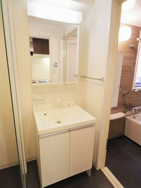 プレシャスコート金山の洗面所