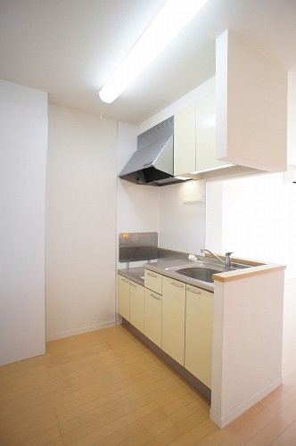 シャーメゾン実咲 弐番館のキッチン