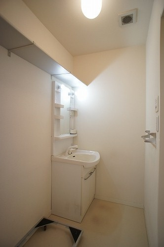 シャーメゾン実咲 弐番館の洗面所