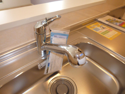 【キッチン】 | ディリジェントⅢ | 浄水器対応水栓