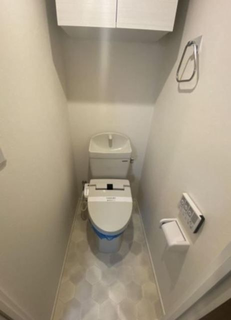 ウェルスクエアイズム大崎のトイレ