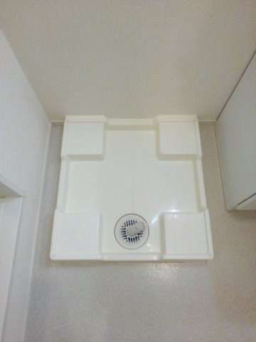 ラフレシール・Ｍのその他